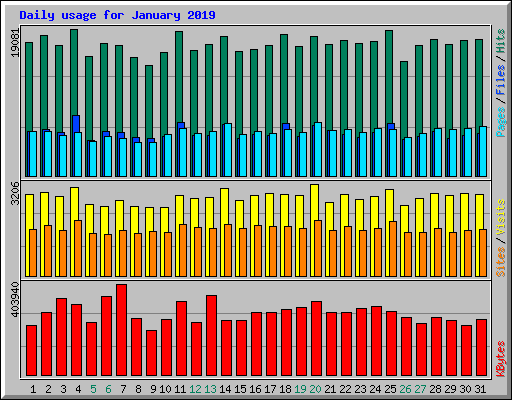 Daily usage for January 2019
