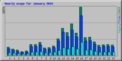 Hourly usage for January 2016
