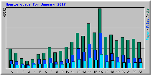 Hourly usage for January 2017