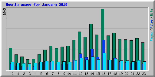 Hourly usage for January 2019