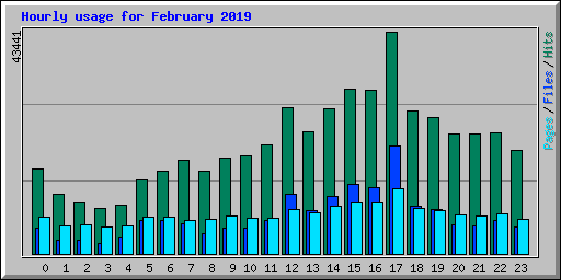 Hourly usage for February 2019