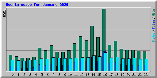 Hourly usage for January 2020