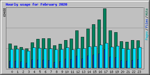 Hourly usage for February 2020